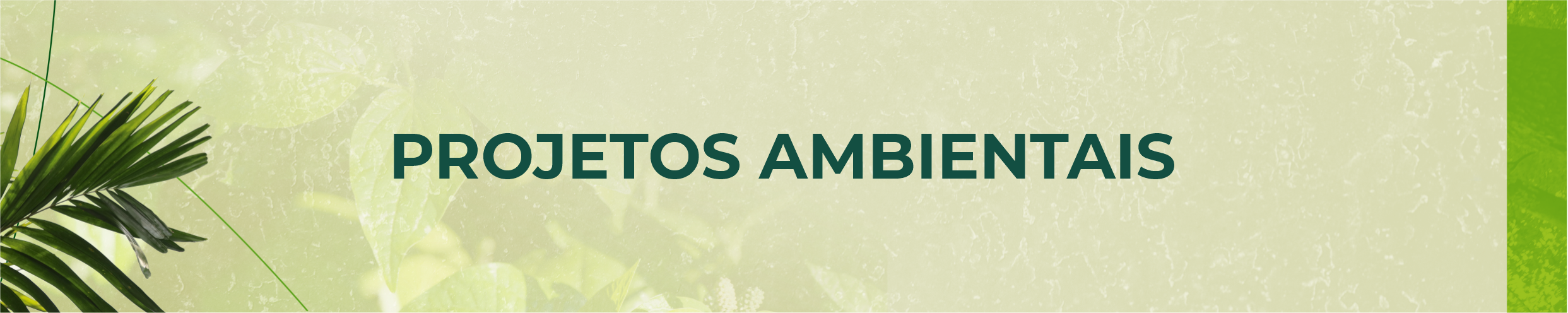 Projetos Ambientais – Abiotec